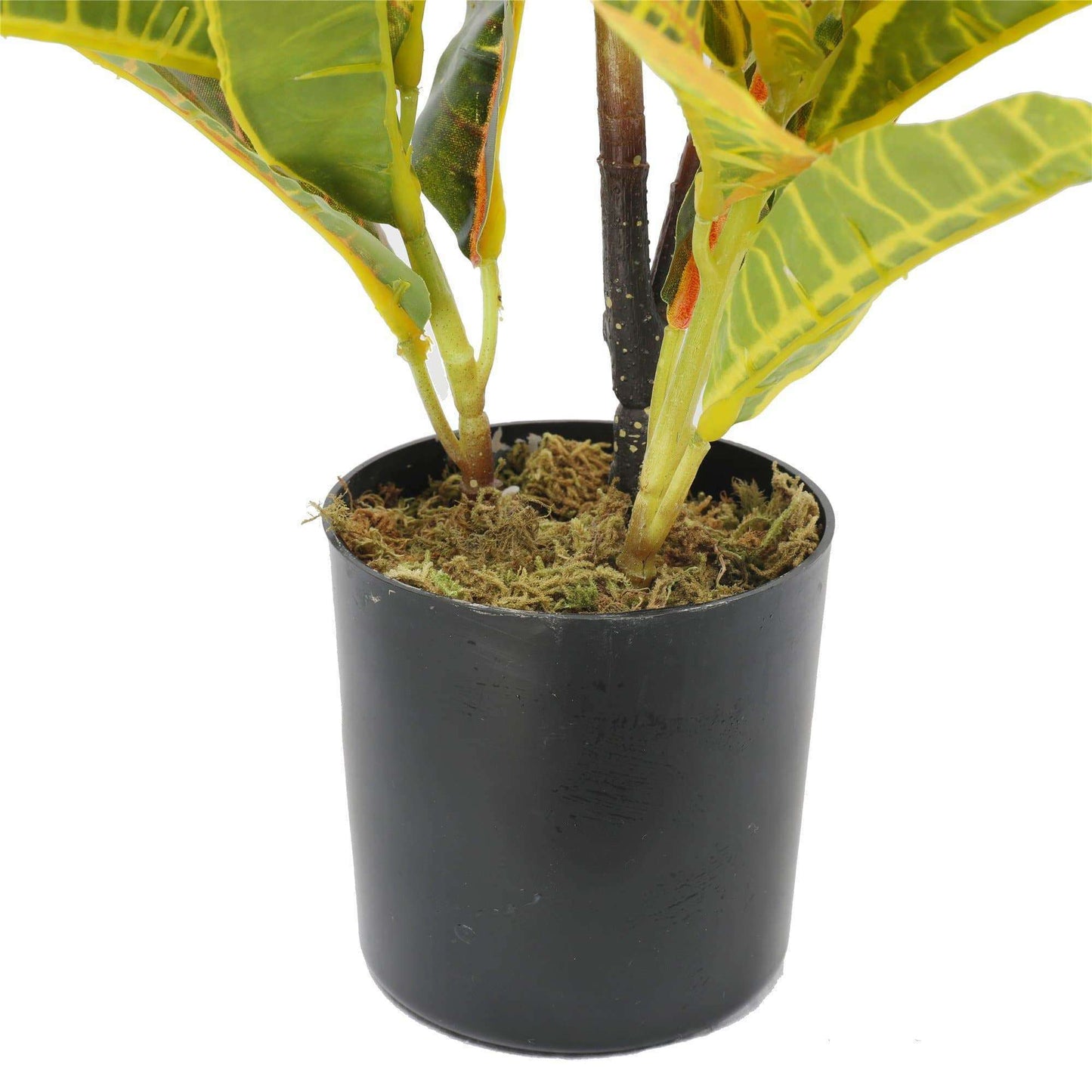Artificial Potted Flaming Zebra (Codiaeum variegatum / crotons) 55cm-1