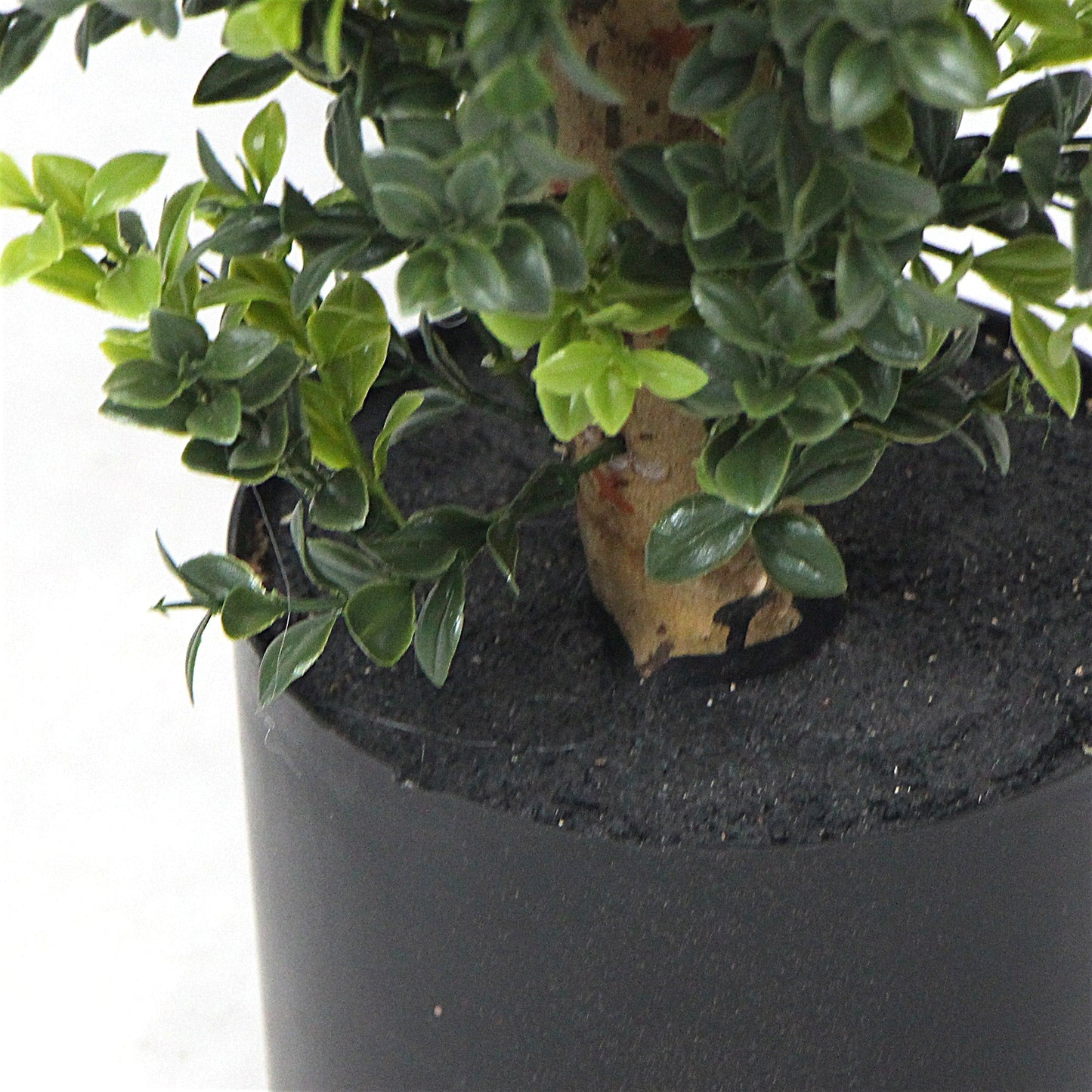 Artificial Potted Topiary Tree 120cm UV Resistant-2