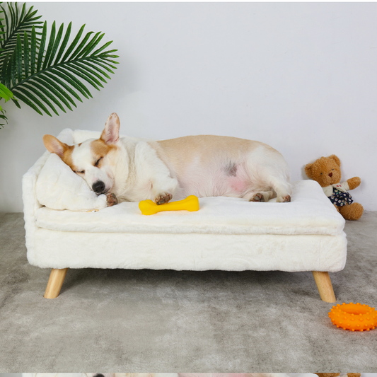 Elevated Pet Bed Nordic Pet Stool Bed with Waterproof Cozy Pad