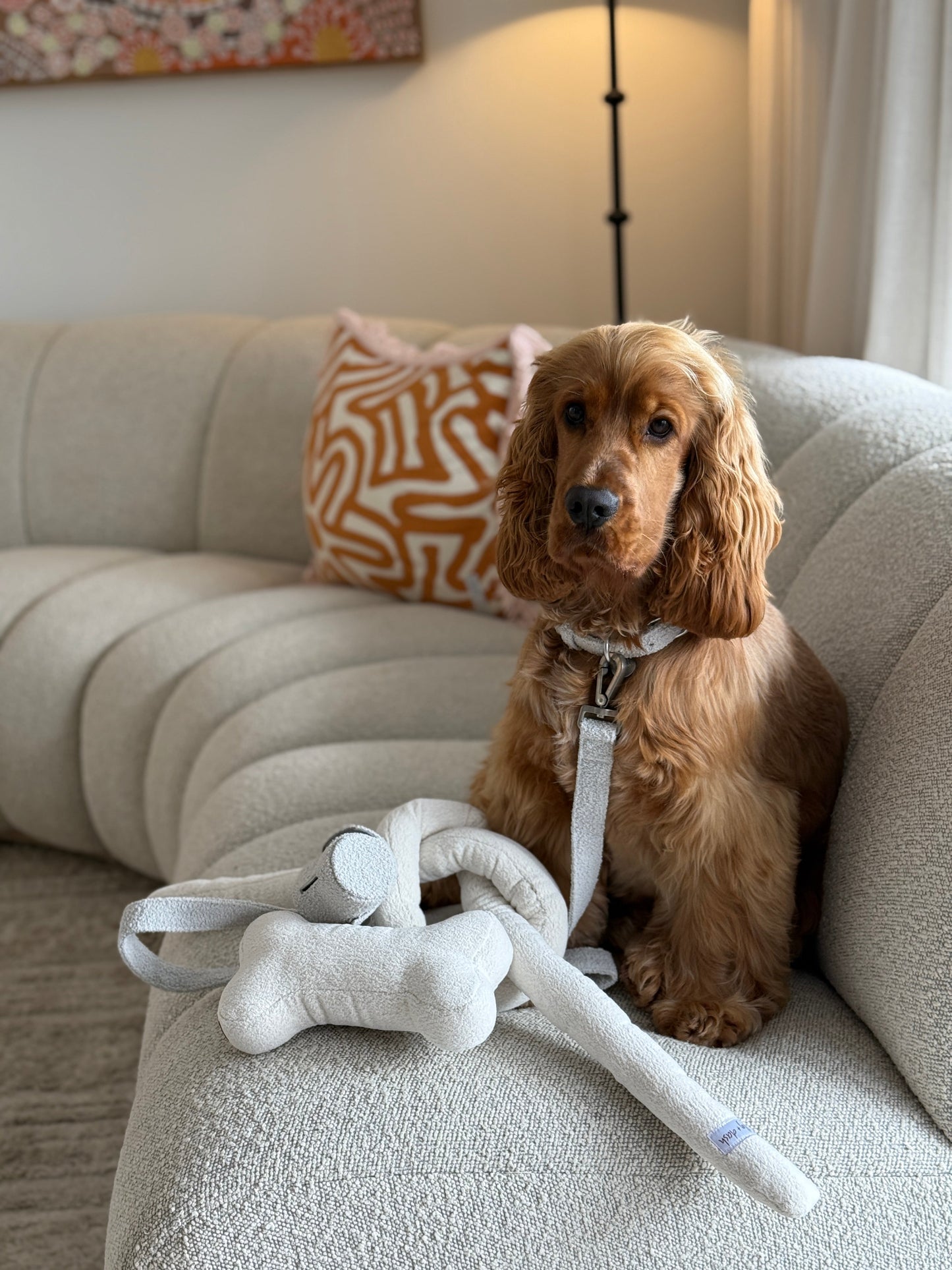 Boucle Bone Dog Toy