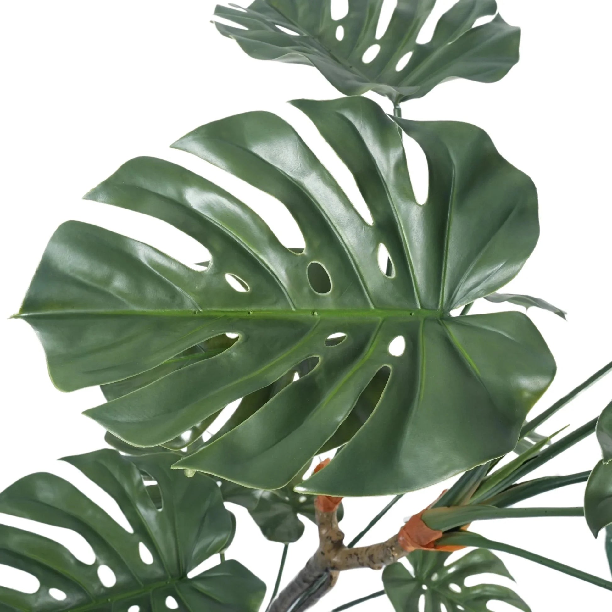 Artificial Monstera Floor Plant – Split Leaf UV Resistant (150cm)-1