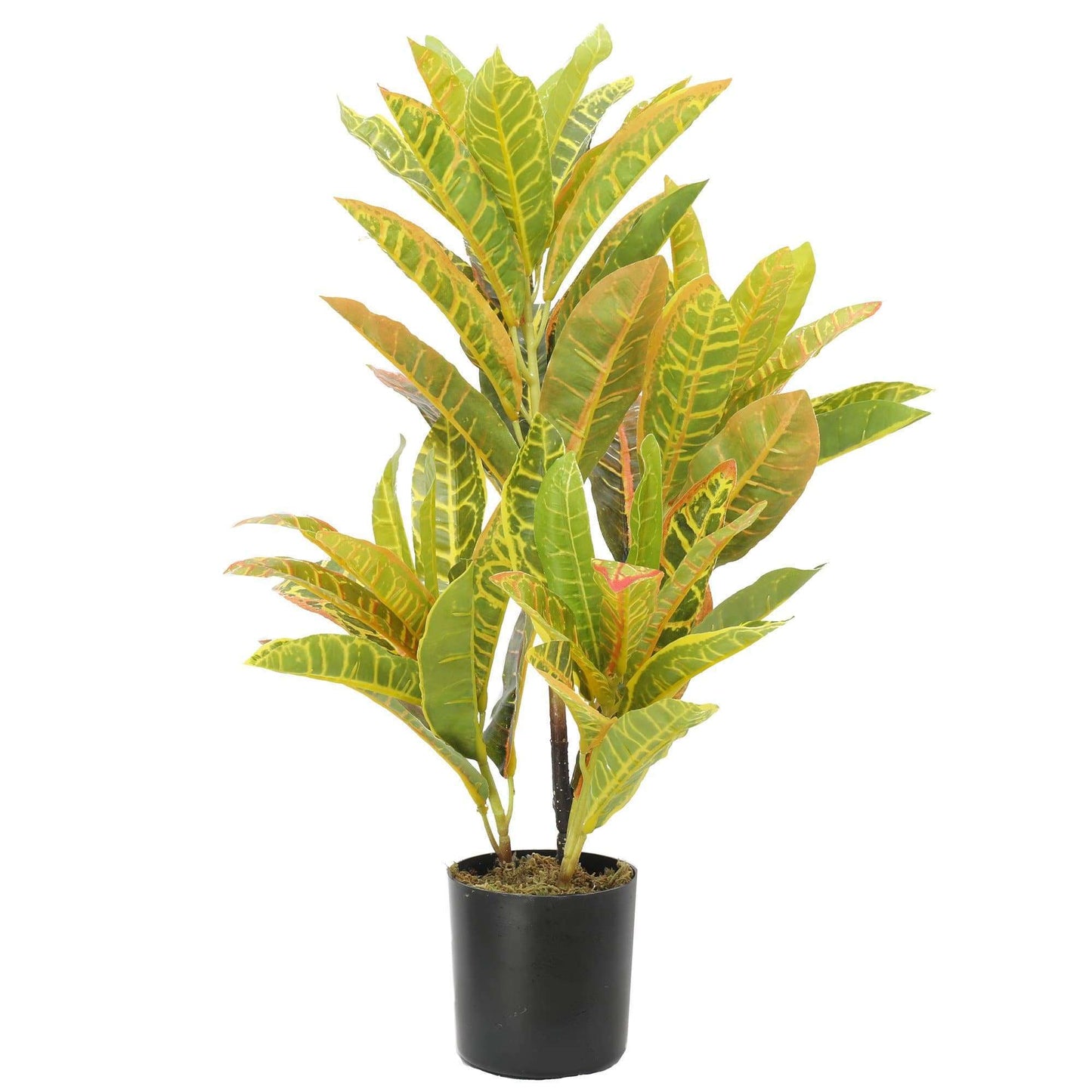 Artificial Potted Flaming Zebra (Codiaeum variegatum / crotons) 55cm-0