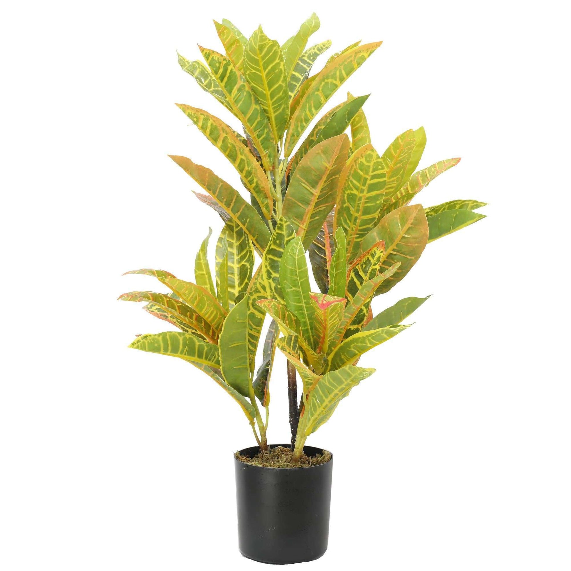 Artificial Potted Flaming Zebra (Codiaeum variegatum / crotons) 55cm-0