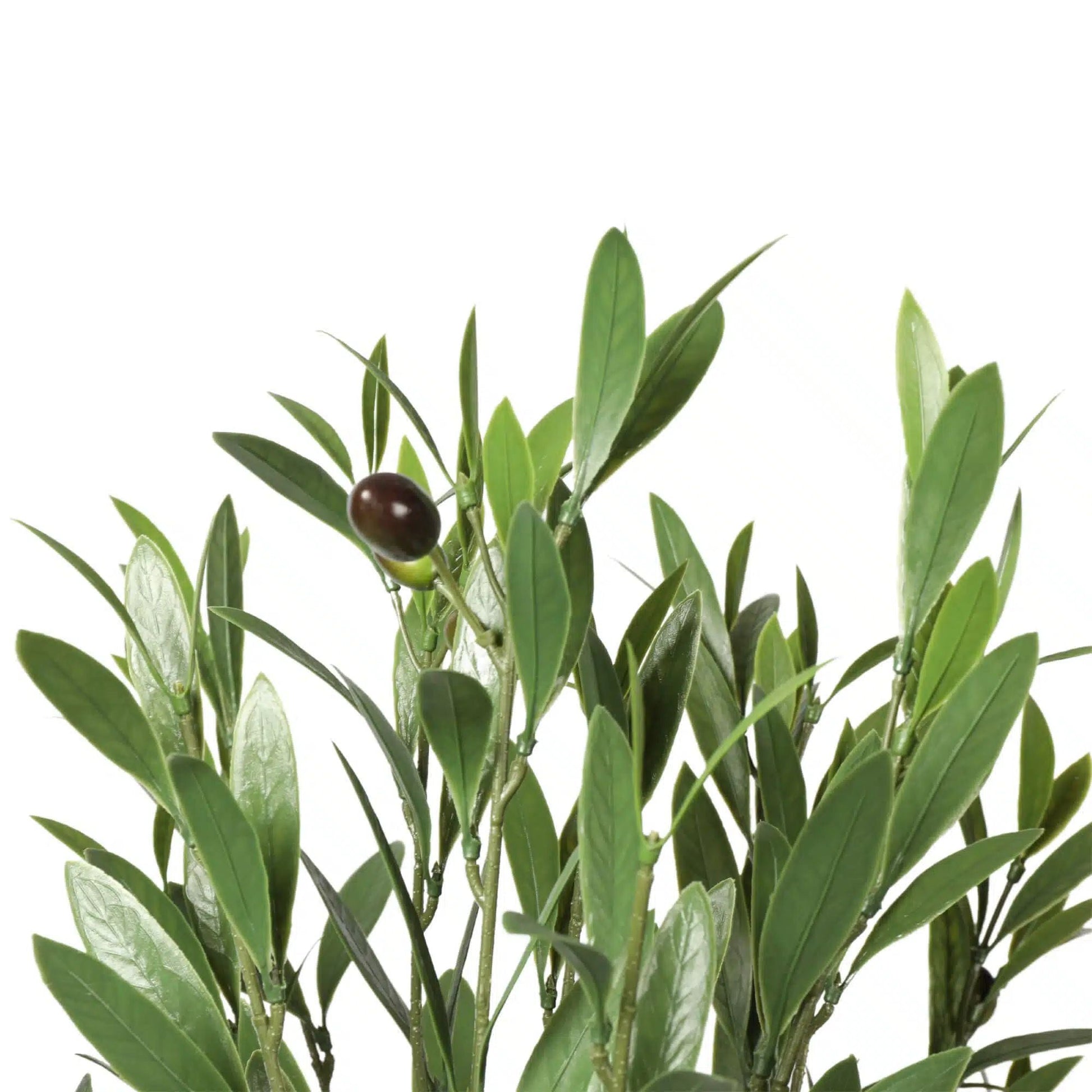 Artificial Potted UV Resistant Nearly Natural Olive Plant 150cm-4