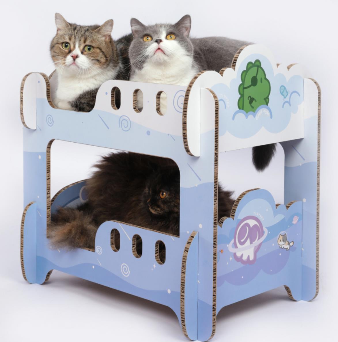 Boys' Dormitory Blue Cat Scratching Board-2