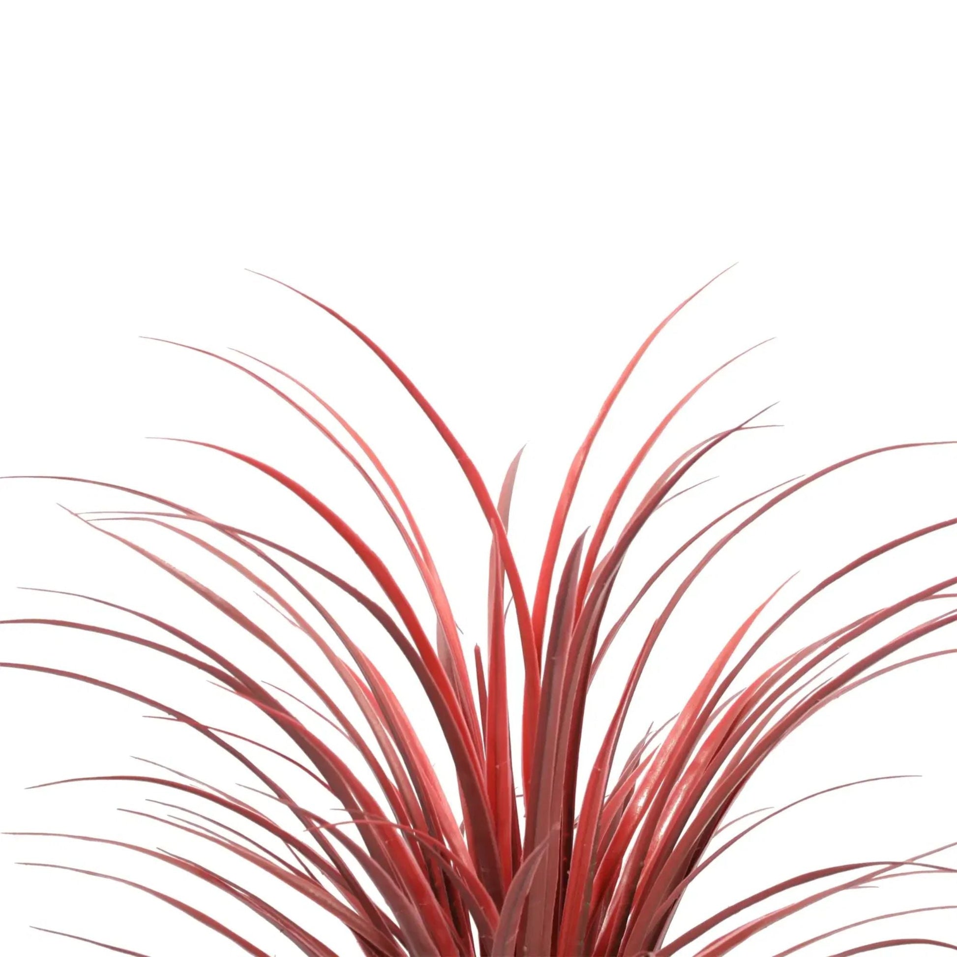 Burgundy Potted Artificial Long Grass (Yucca Grass) 75cm UV Resistant-2