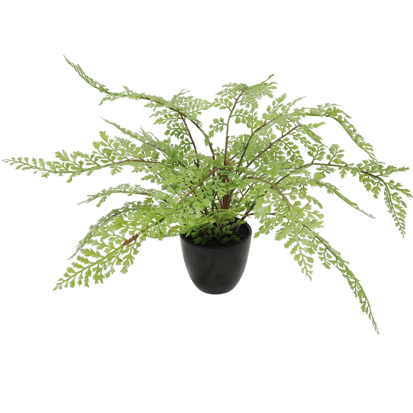 Faux Small Potted Fern 35cm-0