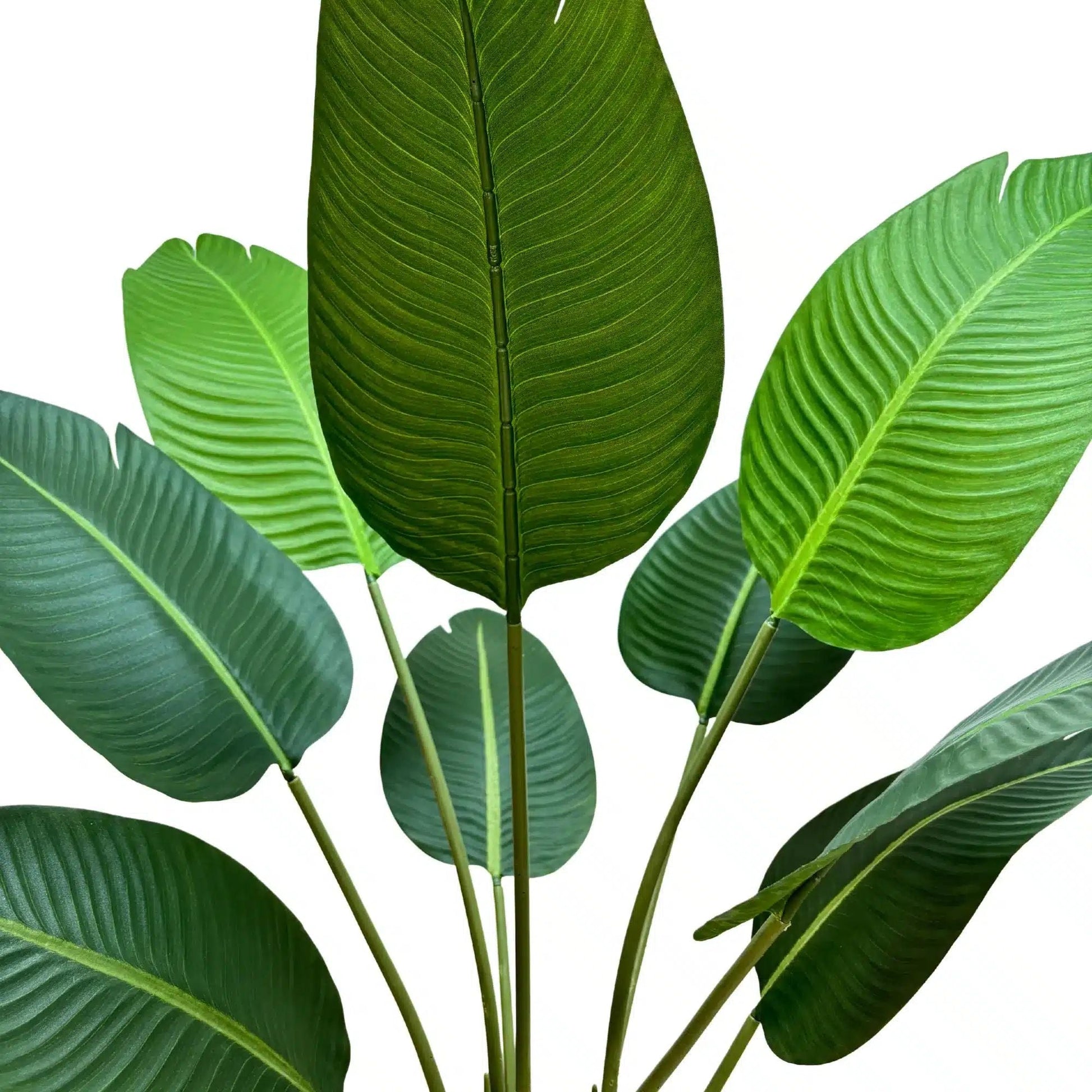 Grand Artificial Potted Travellers Palm (Banana Palm Tree) 120cm-2