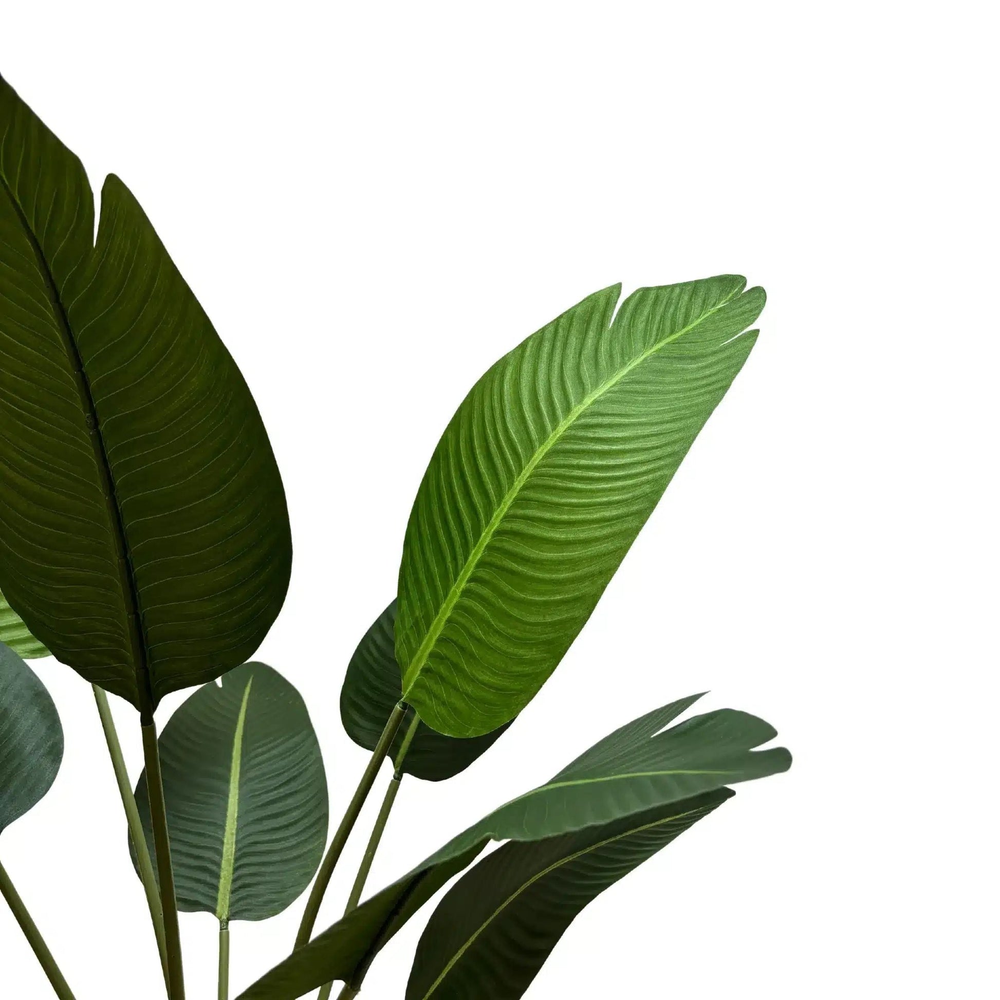 Grand Artificial Potted Travellers Palm (Banana Palm Tree) 120cm-1