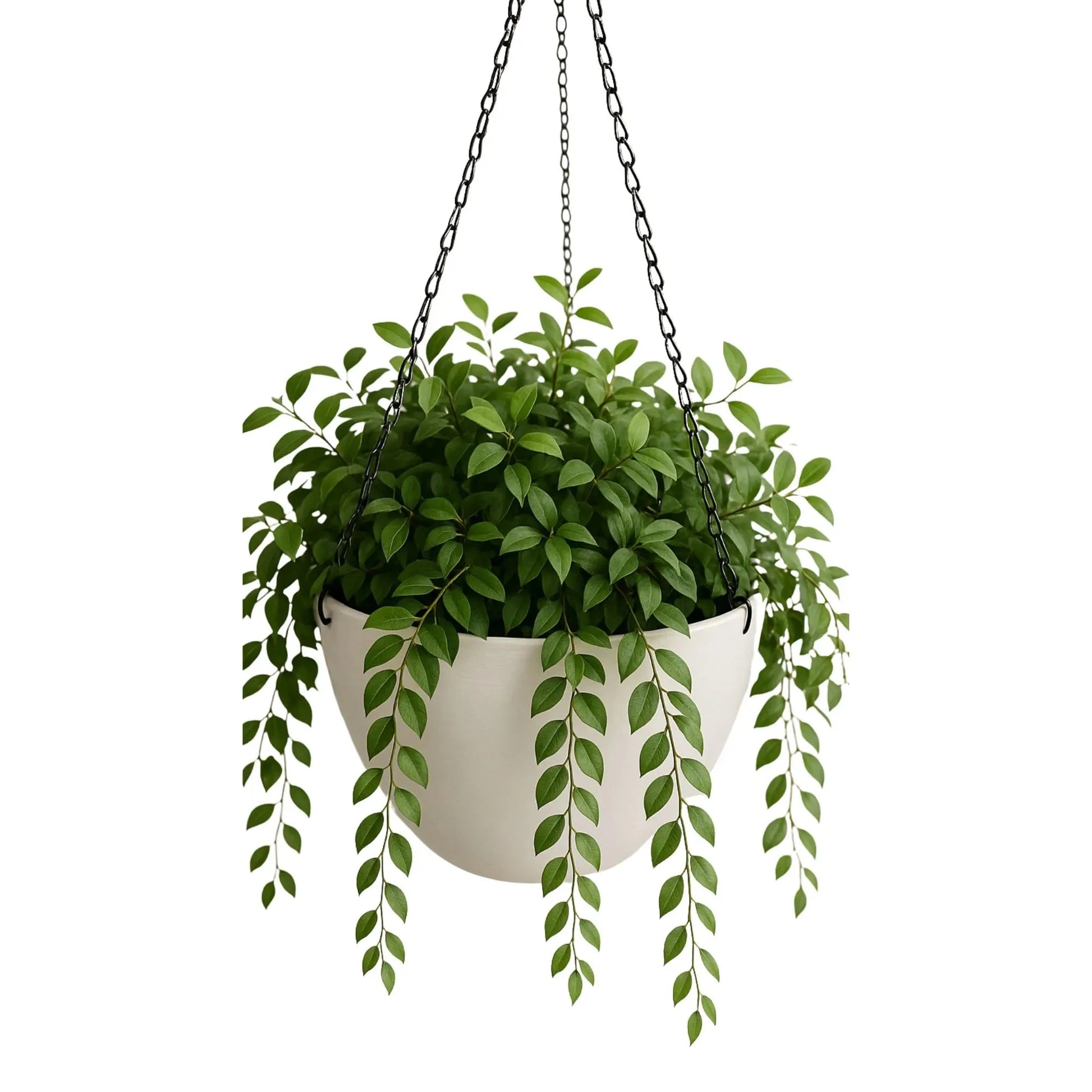 Hanging Rustic White Plastic Pot with Chain 30cm-1