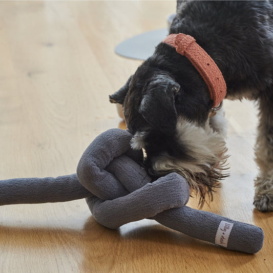 Boucle Knot Dog Toy