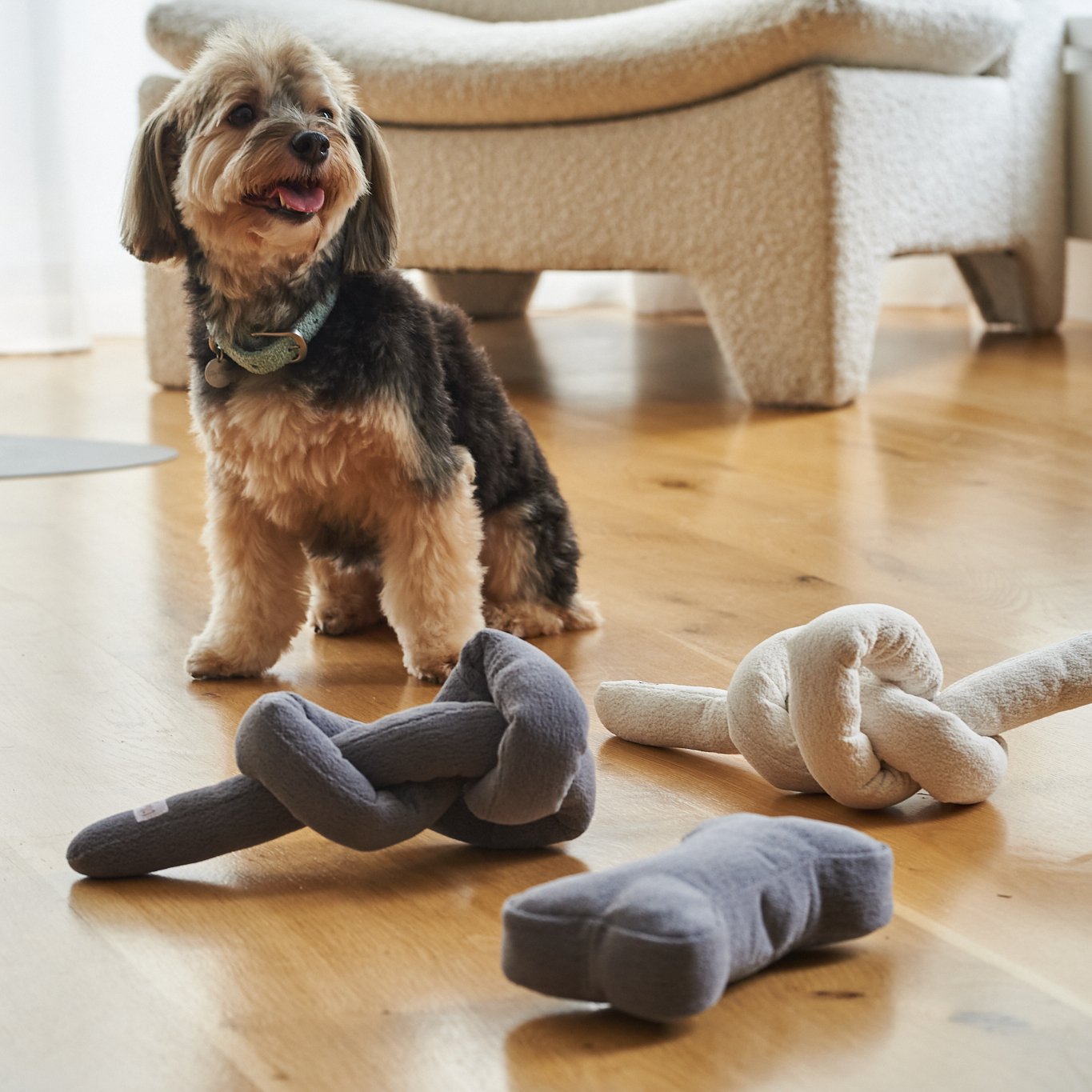 Boucle Knot Dog Toy
