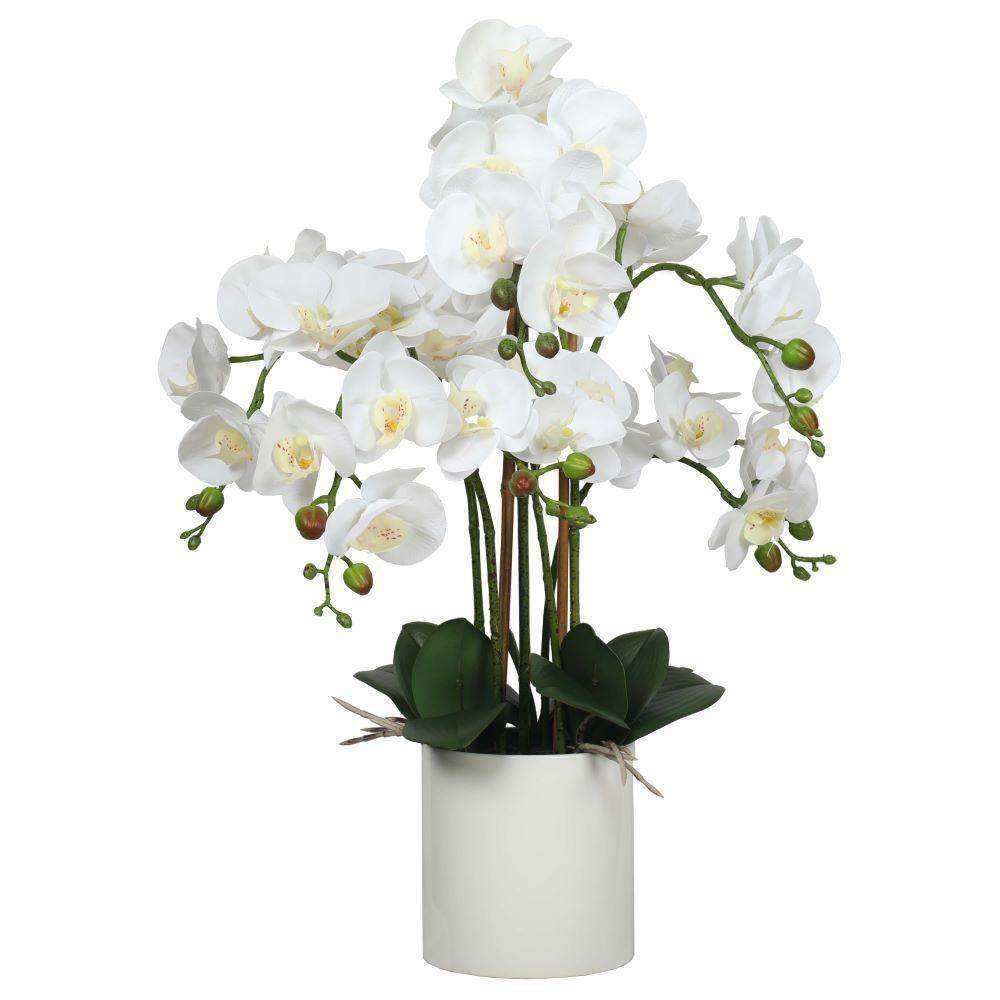 Large Multi-Stem White Potted Faux Orchid 65cm-0