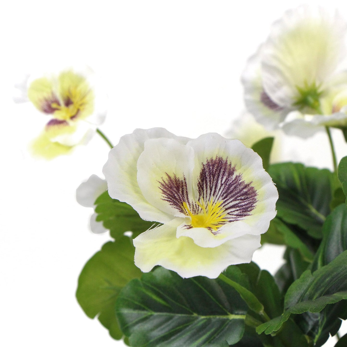 Mixed White Flowering Potted Artificial Pansy Plants 25cm-3
