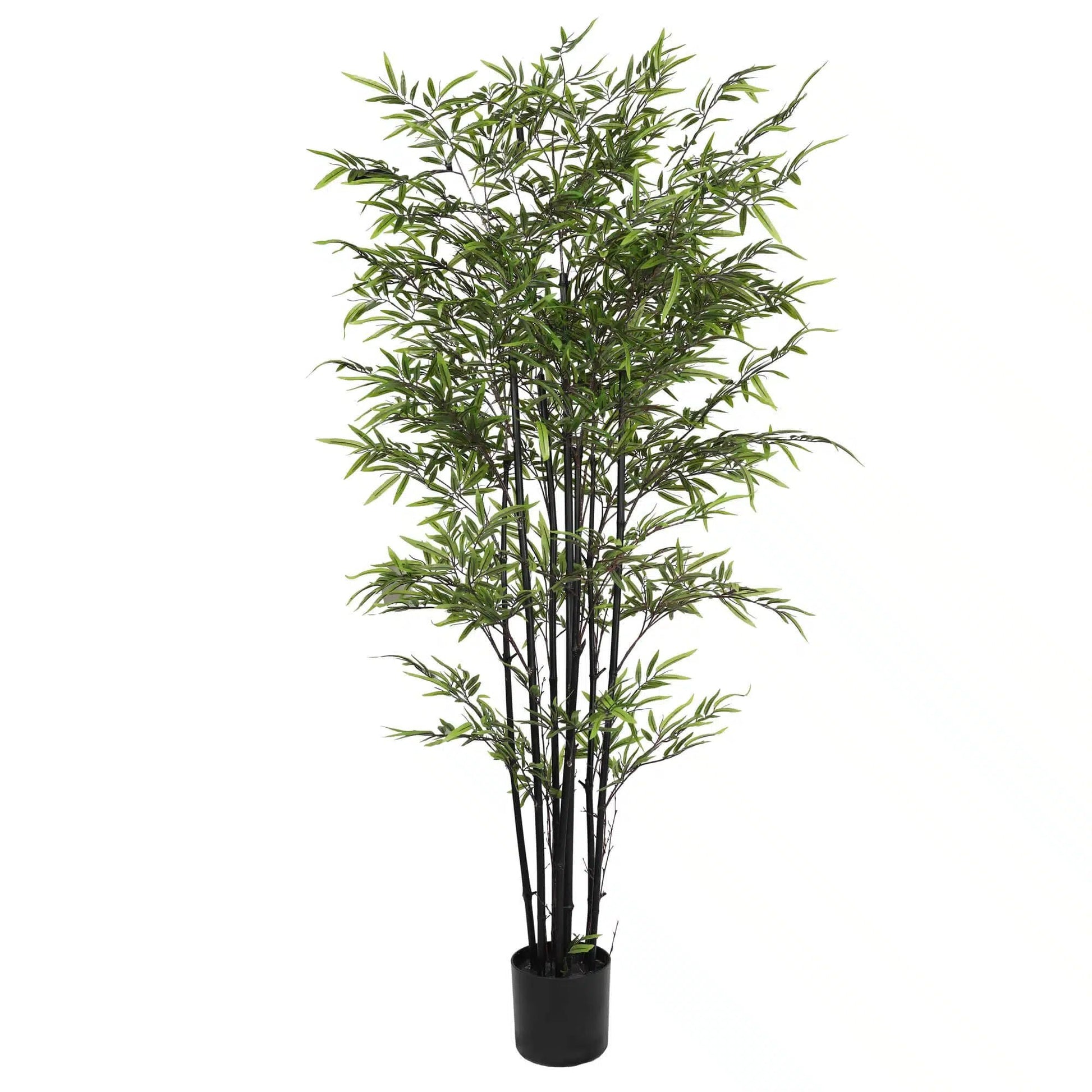 Premium Dense Artificial Black Bamboo 150cm-0